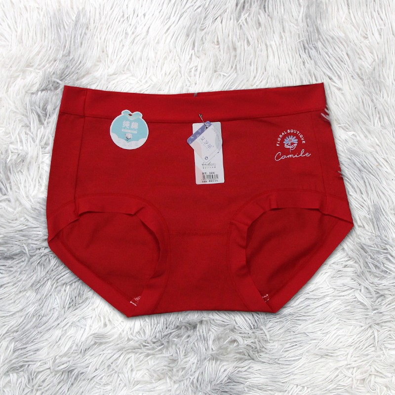 Fancy Underwear *5608 5clr