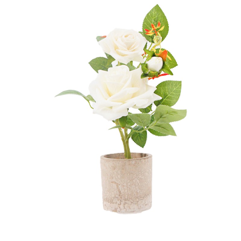 White Rose Pot